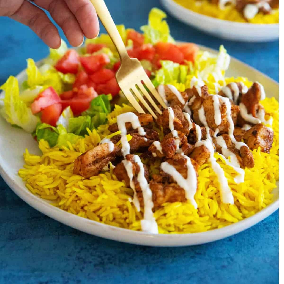 Affordable chicken over rice combo in Norfolk